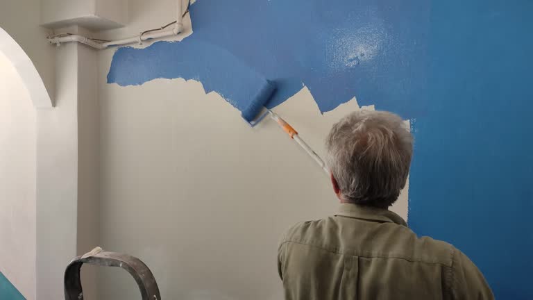 Best Water-Damaged Drywall Repair  in Sullivan, IL